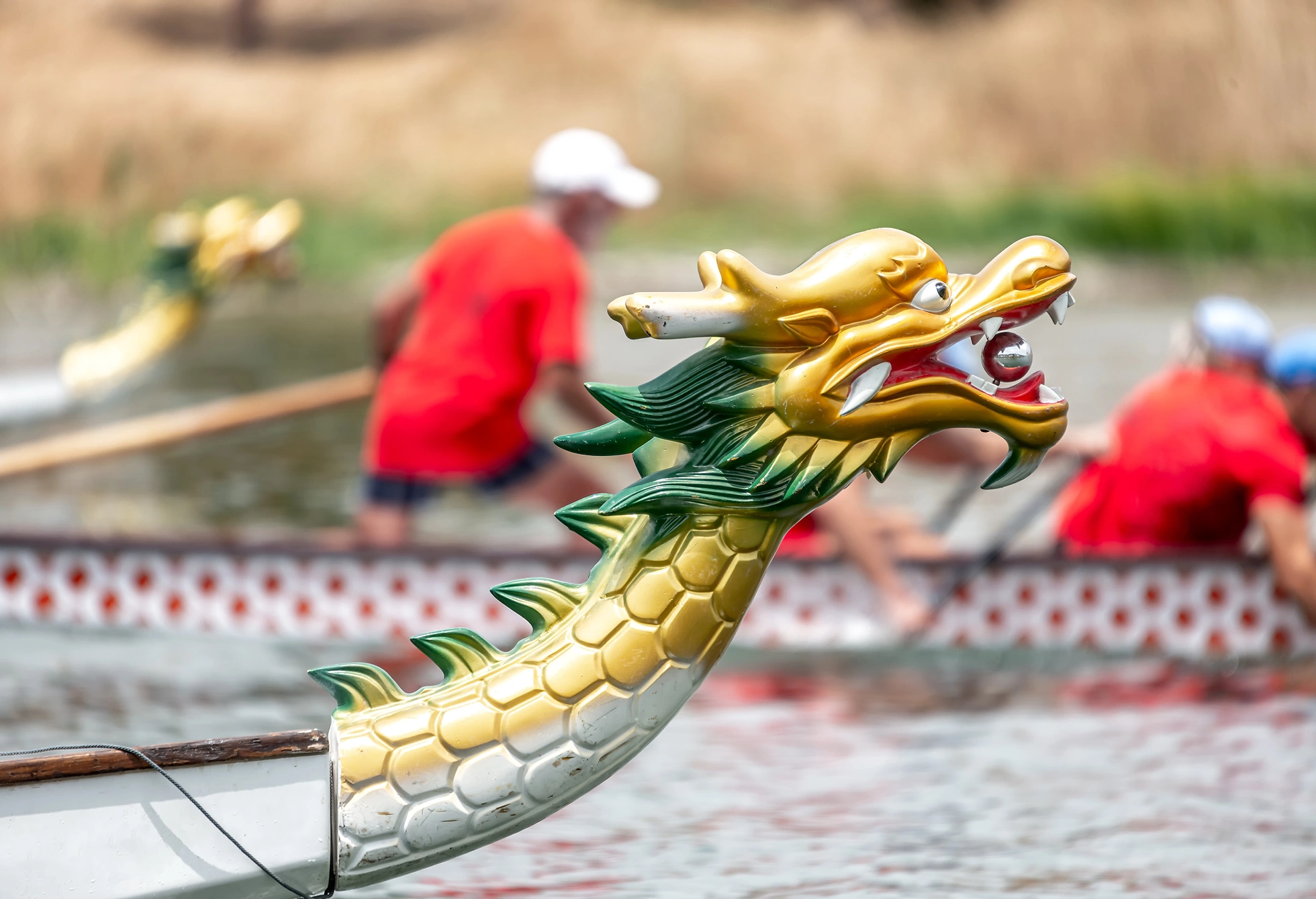 Dragon Boat Festival Manchester Museum