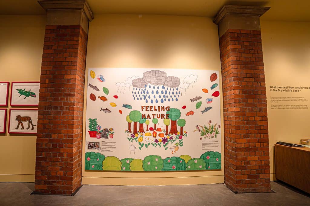 An artwork on the wall within the Wild exhibition at Manchester Museum, which has the words 'feeling nature' alongside illustrations that evoke the natural world.